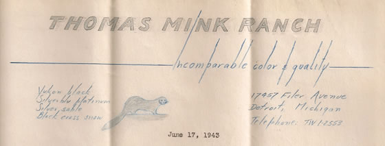 Thomas Mink Ranch Letterhead - Harry Thomas Design