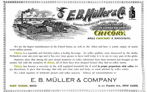 Chicory - E. B. Muller & Co. Port Huron, Michigan